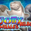Jolly Beluga Whales